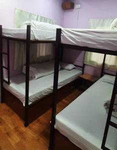 Rúm í herbergi á Margik Backpackers Hostel