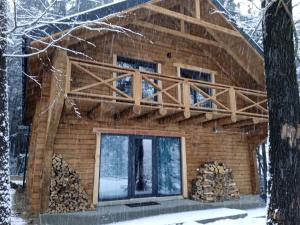 una baita di tronchi nel bosco nella neve di Saltzbork a Staraya Solʼ