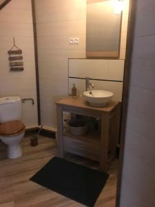 ein Badezimmer mit einem Waschbecken, einem WC und einem Spiegel in der Unterkunft La Grange Aux Fleurs in Rigny-la-Nonneuse