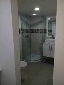 W łazience znajduje się prysznic, toaleta i umywalka. w obiekcie Doña Mayra Aparta Hotel w mieście Las Terrenas