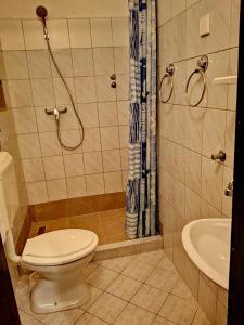 łazienka z toaletą i prysznicem w obiekcie Apartments Kočović w mieście Peroj