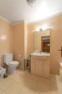 uma casa de banho com um WC, um lavatório e um espelho. em Apartamento da Praça no Porto