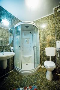 ein Bad mit einer Dusche, einem WC und einem Waschbecken in der Unterkunft Pension Domeniul Regilor in Ciurila
