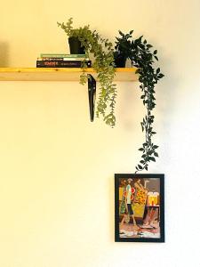 a shelf with plants and a picture on a wall at (PLANTROOM9)Ganze Wohnung allein in Halle an der Saale
