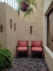 twee stoelen naast een muur met planten bij The Cozy Cactus House Cartago Centro English Spoke in Cartago