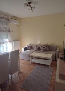 - un salon avec un canapé et une table dans l'établissement Ena Apartment, à Vranje