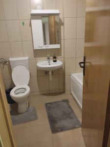 La petite salle de bains est pourvue de toilettes et d'un lavabo. dans l'établissement Ena Apartment, à Vranje