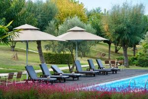 a group of chairs and umbrellas next to a pool at Sani Polyastron Hotel & Spa in Sani Beach