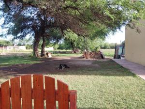 a cat laying in the grass behind a wooden fence at BRISAS DEL RIO in Santiago del Estero