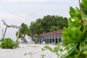 a building on the beach with trees in front of it at Ocean Lilly Inn in Hangnaameedhoo