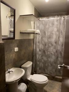 W łazience znajduje się toaleta, umywalka i prysznic. w obiekcie Lonko Hostel w mieście Arequipa