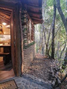 an outside view of a cabin in the woods at Cabaña Amor de los Tronquitos, Camino Villarrica in Villarrica