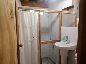 y baño con ducha y lavamanos. en Cabaña Amor de los Tronquitos, Camino Villarrica en Villarrica