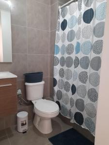 y baño con aseo y cortina de ducha. en Departamento Amoblado en Arica, en Arica