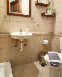 La salle de bains est pourvue d'un lavabo, de toilettes et d'un miroir. dans l'établissement Μaisonette Mary, à Palaios Agios Athanasios