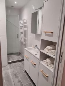 a white bathroom with a sink and a shower at Elégant 2 chambres vieille ville in Besançon