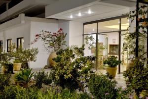Zahrada ubytování Limira Mare Hotel