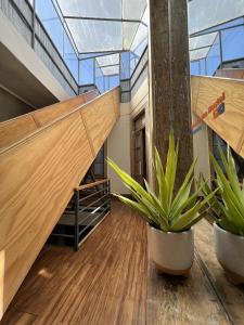 a room with two potted plants and a glass ceiling at Casa Lastra in Valparaíso