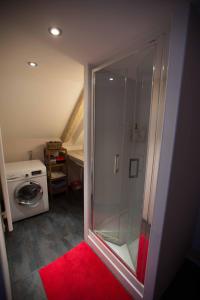 a bathroom with a shower and a washing machine at La grange de Sophie in Berstett