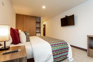 TV a/nebo společenská místnost v ubytování Hotel Carretero