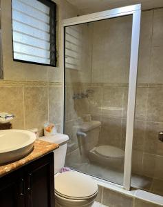 een badkamer met een douche, een toilet en een wastafel bij El Kaoba in Cabarete