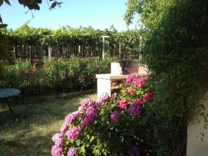 Fotografie z fotogalerie ubytování Il casale tra le vigne e il mare v destinaci Tollo