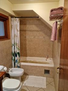 La salle de bains est pourvue de toilettes et d'une baignoire. dans l'établissement Ushuhouse Apartments, à Ushuaia