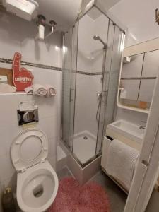 a bathroom with a shower and a toilet at Mini Flat Paris Neuilly La Défense in Neuilly-sur-Seine