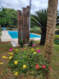 une balançoire dans un jardin à côté d'une piscine dans l'établissement POUSADA Chacara ENTRE NÓS, à Holambra