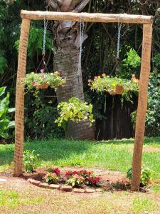 a pergola with two potted plants in a garden at POUSADA Chacara ENTRE NÓS in Holambra