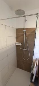 una doccia con porta in vetro in bagno di S´Neunal a Freundorf