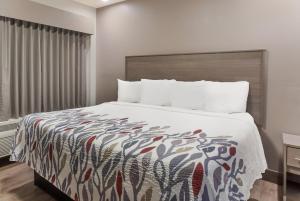 コービンにあるRed Roof Inn & Suites Corbinのベッドルーム1室(大型ベッド1台、カラフルな毛布付)
