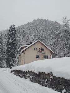 Apartments Gozdni Raj Rogla v zimě
