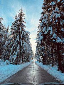 a snowy road with snow covered trees on it at Apartmaji Katrnjek in Bohinj