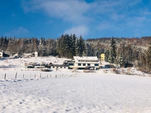 a snow covered yard with a house in the background at Haus Hubertus in Willingen