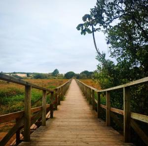 uma ponte de madeira sobre um campo com uma árvore sobre ele em TownhouseFloripa II Praia do Moçambique-RioVermelho em Florianópolis