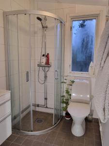 een badkamer met een douche en een toilet bij Archipelago villa, cabin & sauna jacuzzi with sea view, 30 minutes from Stockholm in Tyresö