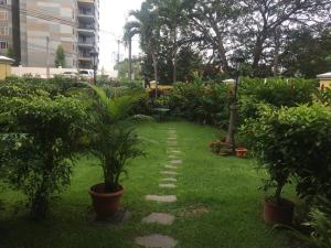 a garden with potted plants and a walkway at MonBlanc in San Salvador