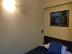 Cama o camas de una habitación en Hostal Rayen Centro