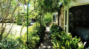 Zahrada ubytování Maddisons Garden Guest Suite - Coatesville