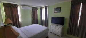 Μια τηλεόραση ή/και κέντρο ψυχαγωγίας στο Burns' Apartment