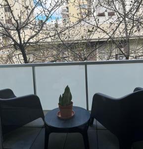 una pianta seduta su un tavolo di fronte a una finestra di Sucre Suites a Buenos Aires