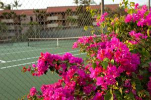 a bunch of pink flowers in front of a tennis court at Maui Vista by Coldwell Banker Island Vacations in Kihei