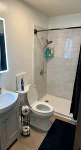 费尔班克斯Comfortable 2BR Apt Central的配有马桶、水槽和淋浴的浴室