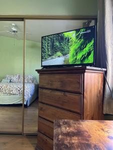 un televisor en un tocador en un dormitorio en Countryside comfort Suite with private bathroom en Hemet
