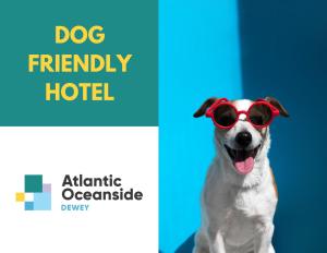 杜威海滩Atlantic Oceanside Dewey的相册照片
