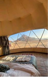 a bed in a tent with a view of the desert at Ammar Rum Camp and jeep tour in Wadi Rum