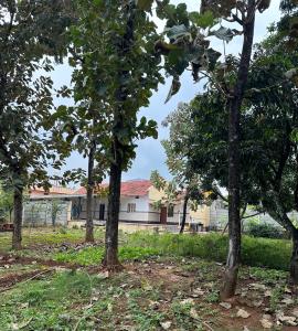 Afbeelding uit fotogalerij van Rustic Village Farmhouse in Bangalore