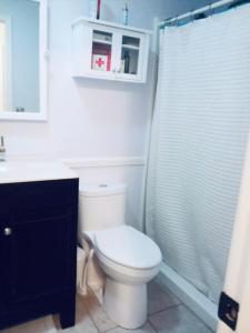 a bathroom with a white toilet and a shower at The Rose Inn in Santee