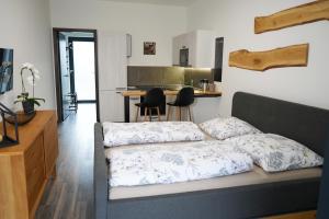 um quarto com uma cama e uma cozinha com uma mesa em Hofmann Apartment em Cheb